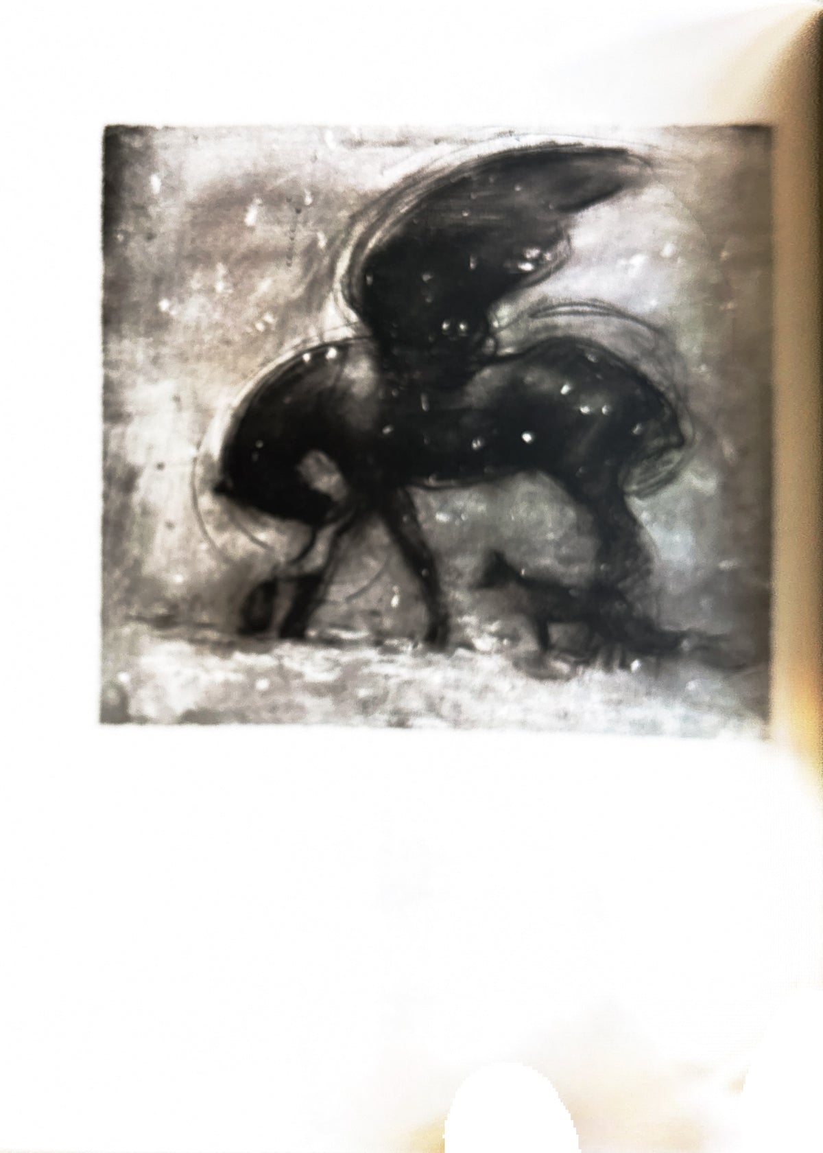 The Boy, the Mole, the Fox and the Horse:  Charlie Mackesy  **  First Published  **