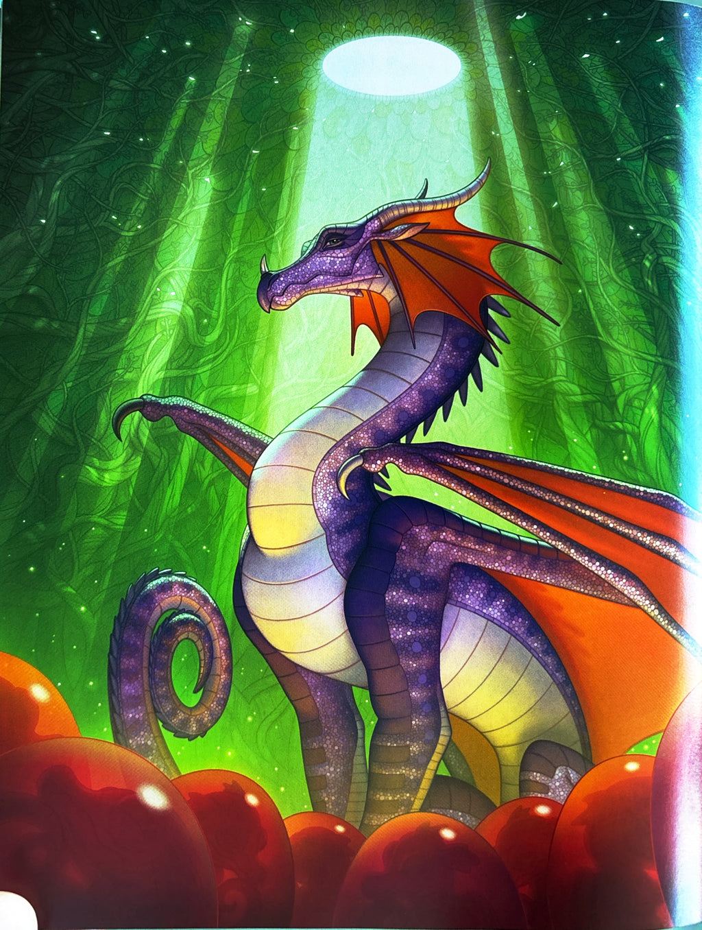Wings of Fire A Guide to the Dragon World  **  First Edition  **