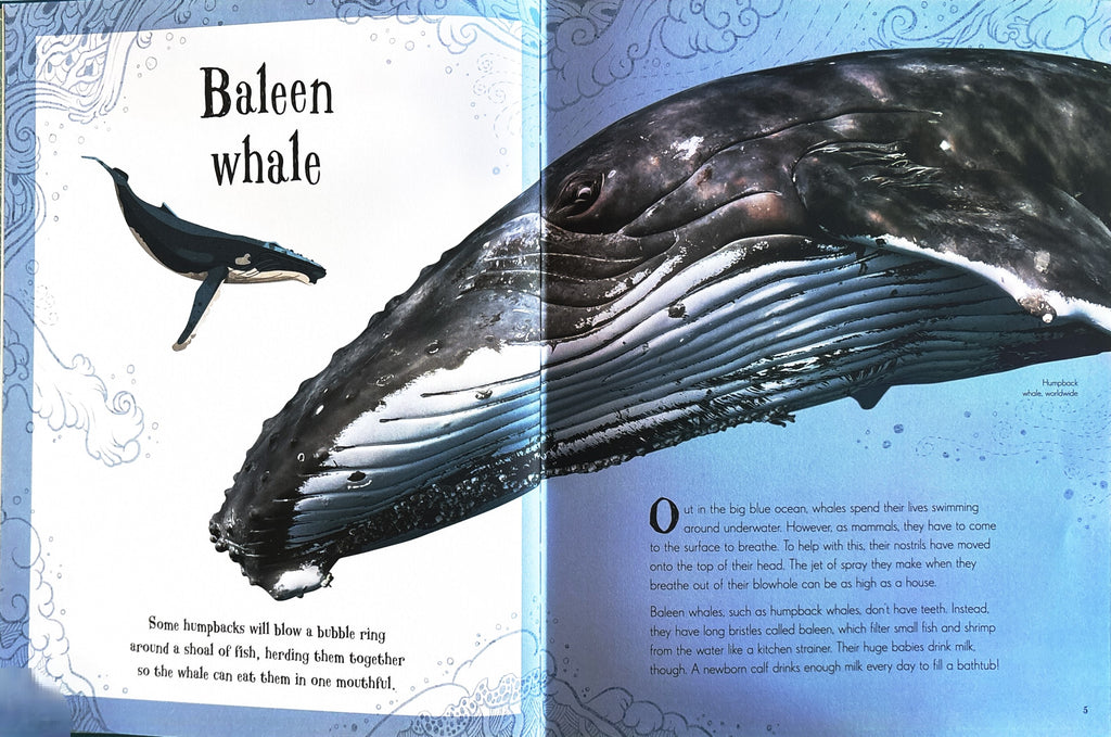 An Anthology of Intriguing Animals:  First Edition  2018