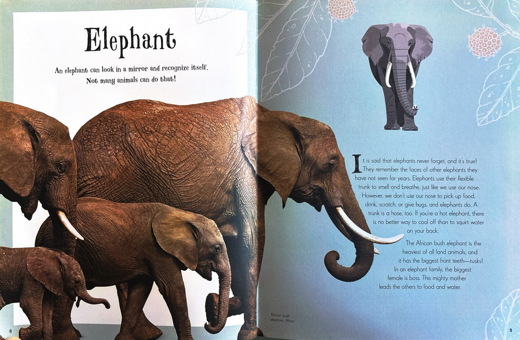 An Anthology of Intriguing Animals:  First Edition  2018