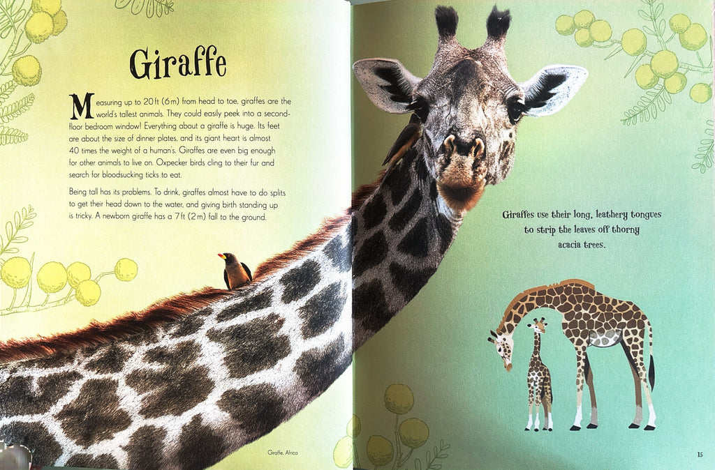 An Anthology of Intriguing Animals:  First Edition  2018