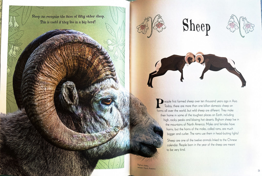 An Anthology of Intriguing Animals:  First Edition  2018
