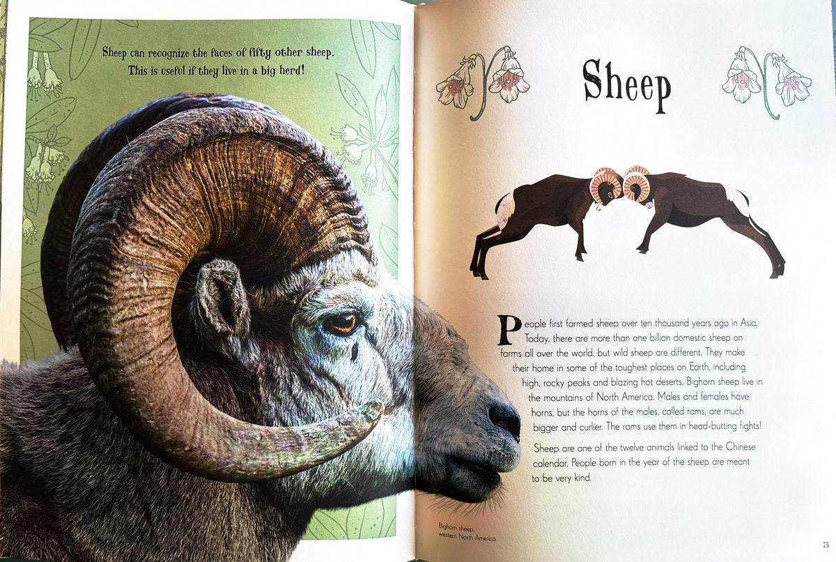 An Anthology of Intriguing Animals:  First Edition  2018