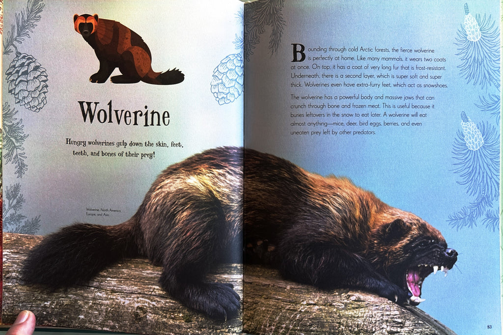 An Anthology of Intriguing Animals:  First Edition  2018