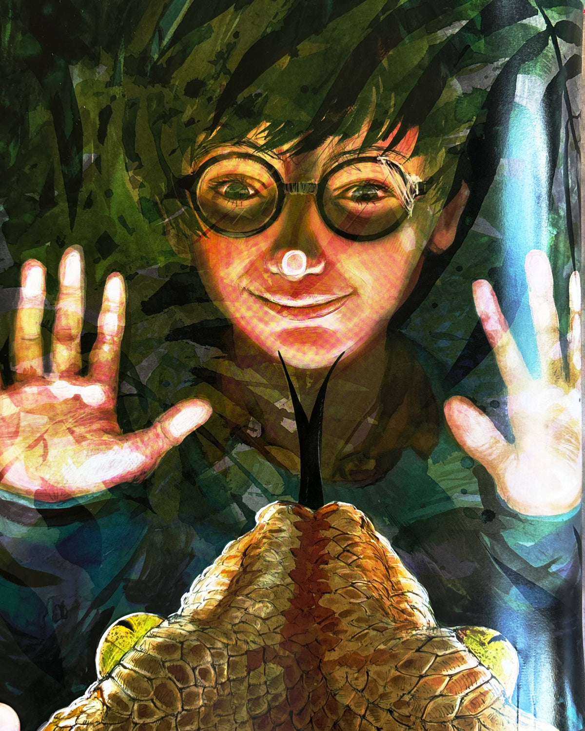 Harry Potter and the Sorcerer's Stone: J. K. Rowling