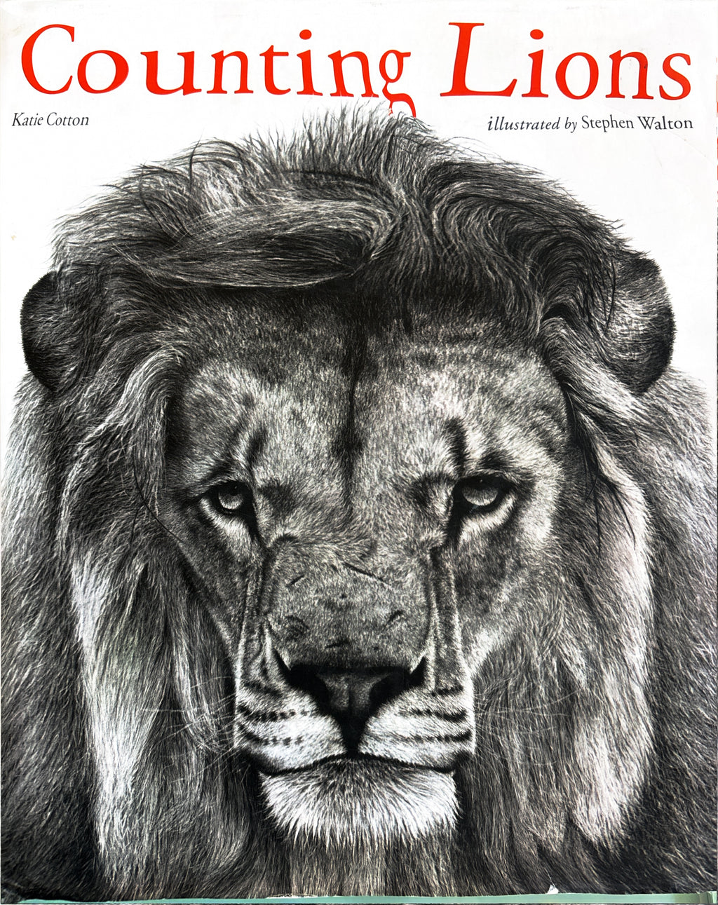 Counting Lions: Portraits from the Wild by Katie Cotton  **  First Edition  **