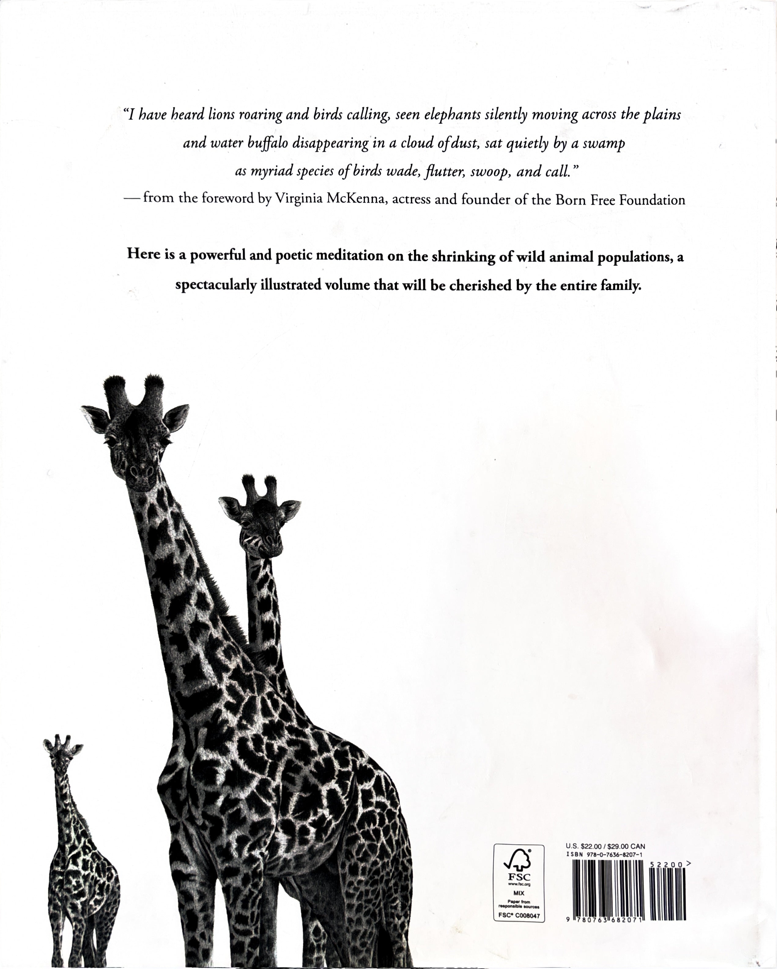 Counting Lions: Portraits from the Wild by Katie Cotton  **  First Edition  **
