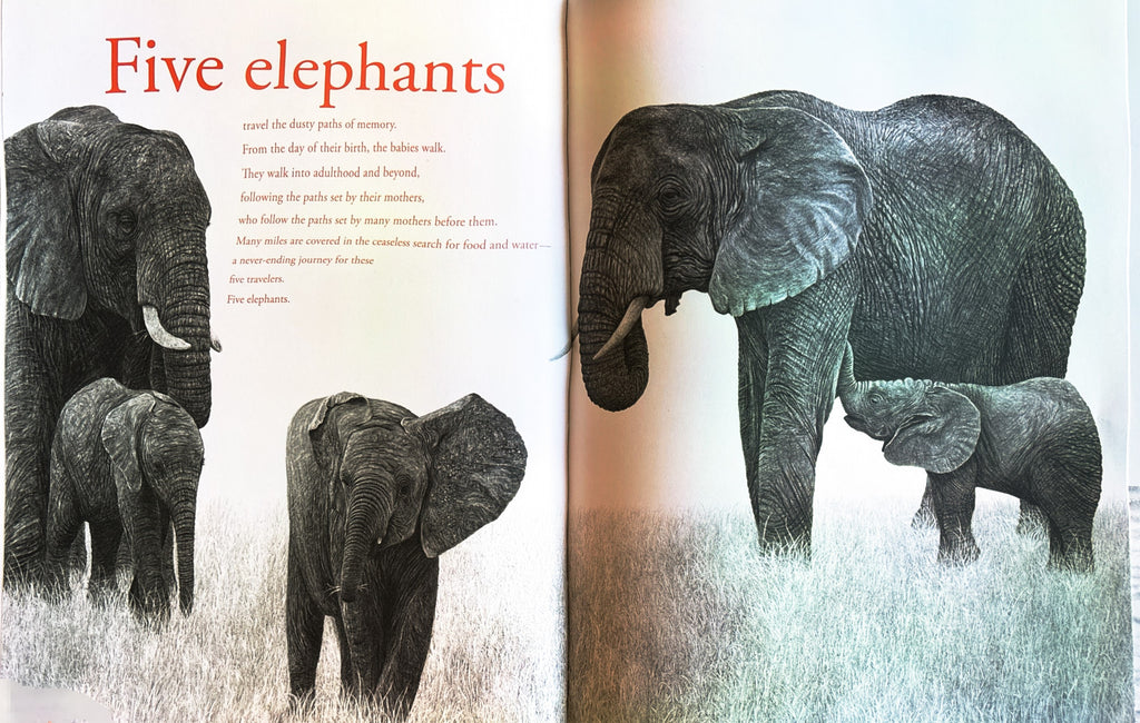 Counting Lions: Portraits from the Wild by Katie Cotton  **  First Edition  **