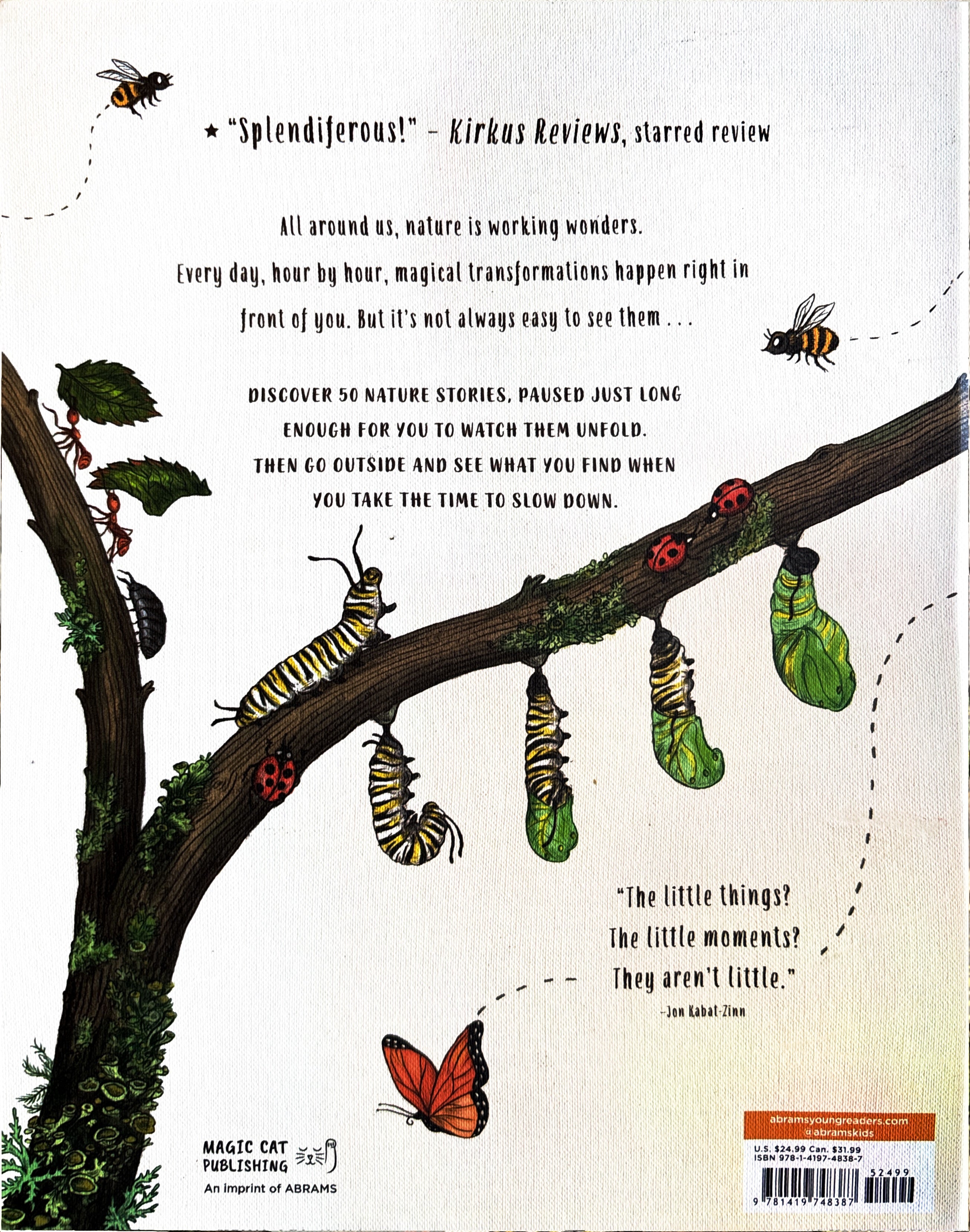 Slow Down 50 Mindful Moments in Nature:  Rachel Williams  ** First Publication **