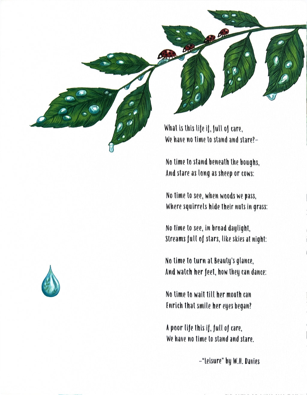 Slow Down 50 Mindful Moments in Nature:  Rachel Williams  ** First Publication **