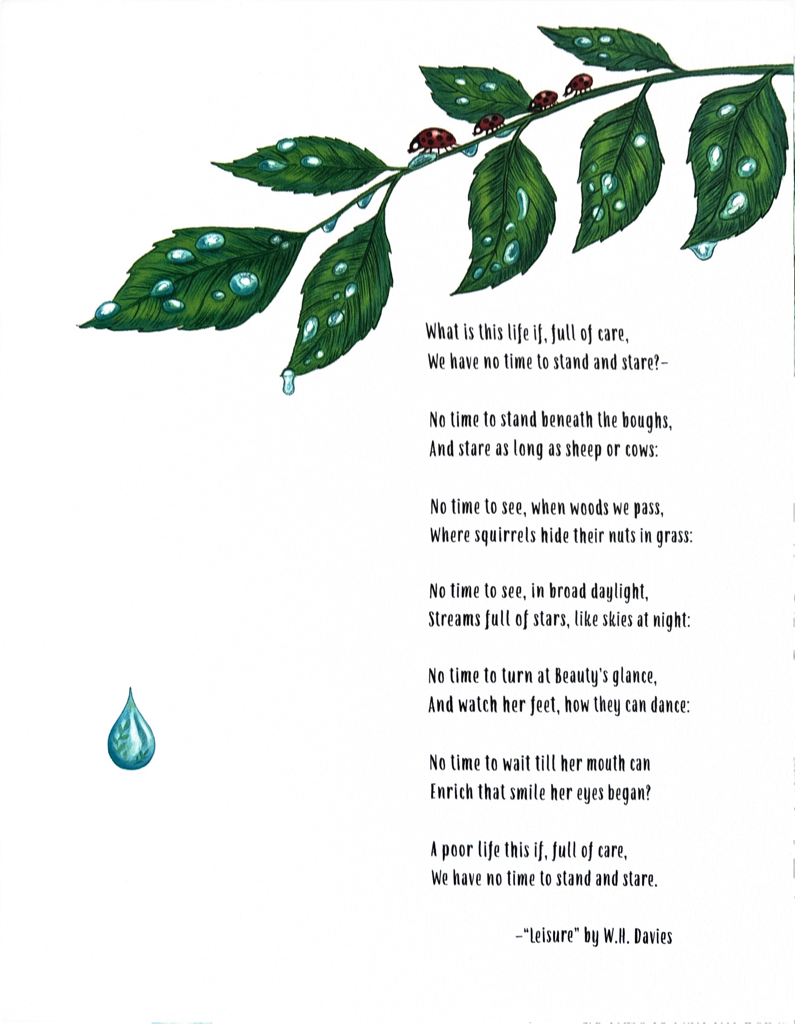 Slow Down 50 Mindful Moments in Nature:  Rachel Williams  ** First Publication **