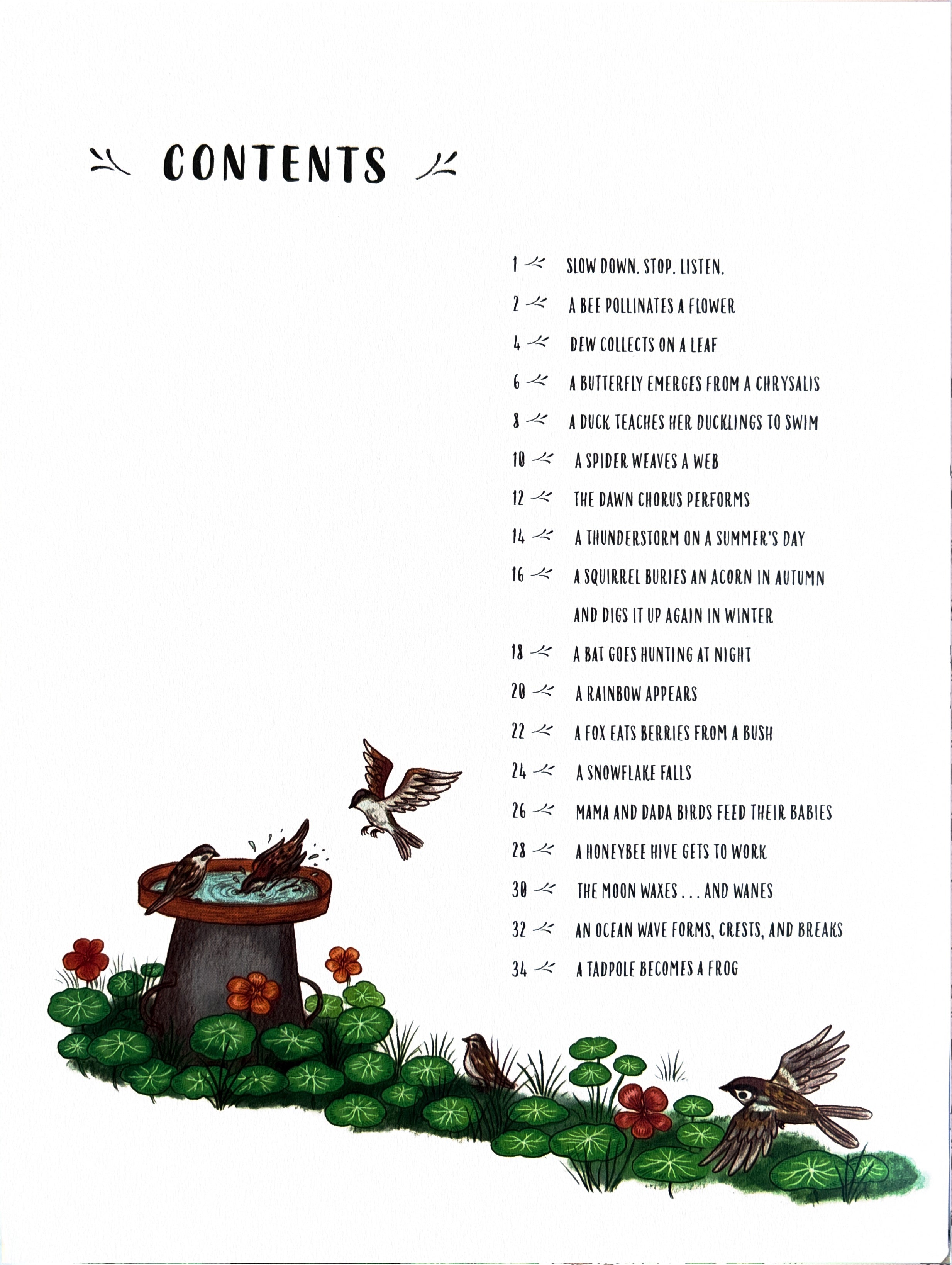 Slow Down 50 Mindful Moments in Nature:  Rachel Williams  ** First Publication **