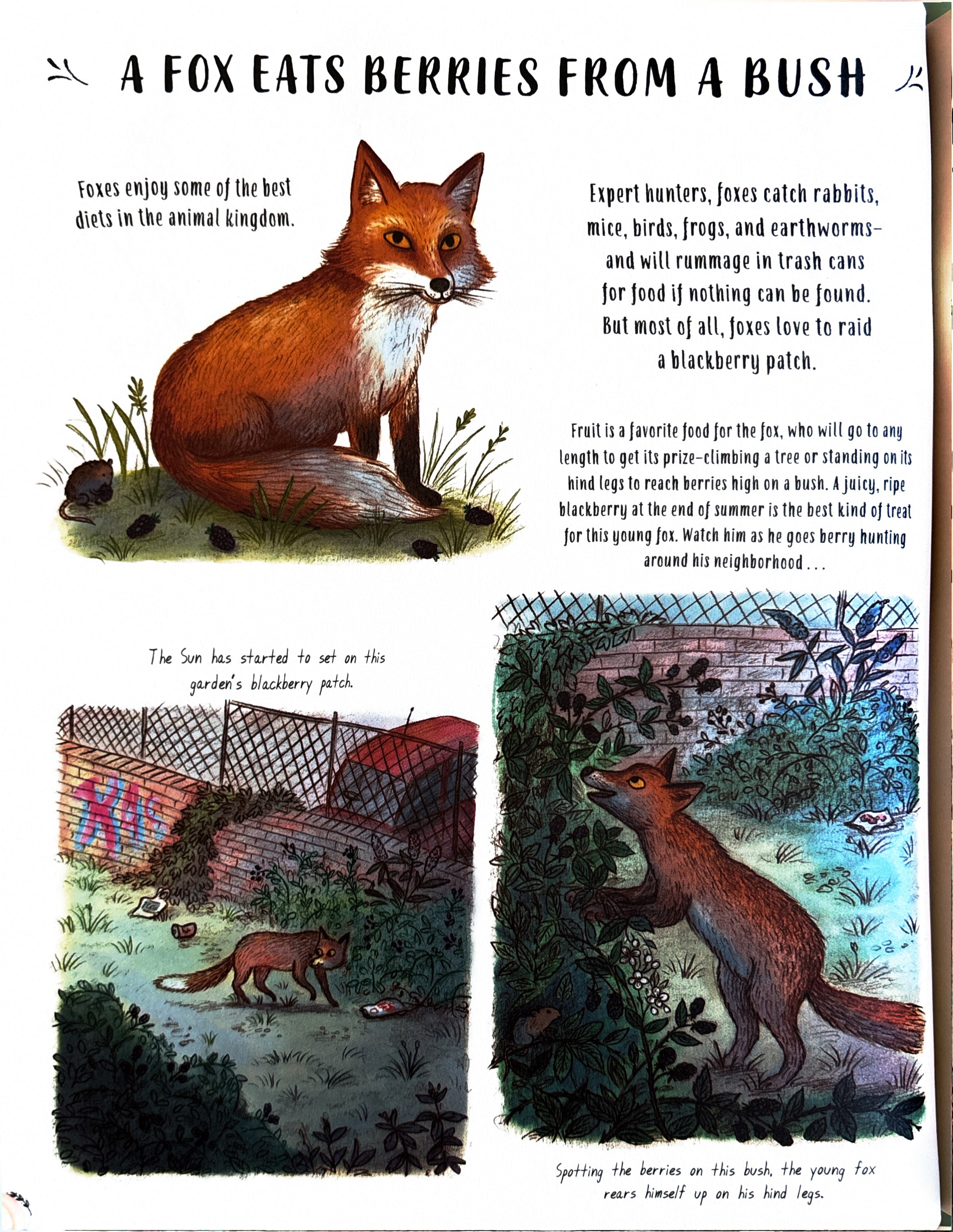 Slow Down 50 Mindful Moments in Nature:  Rachel Williams  ** First Publication **