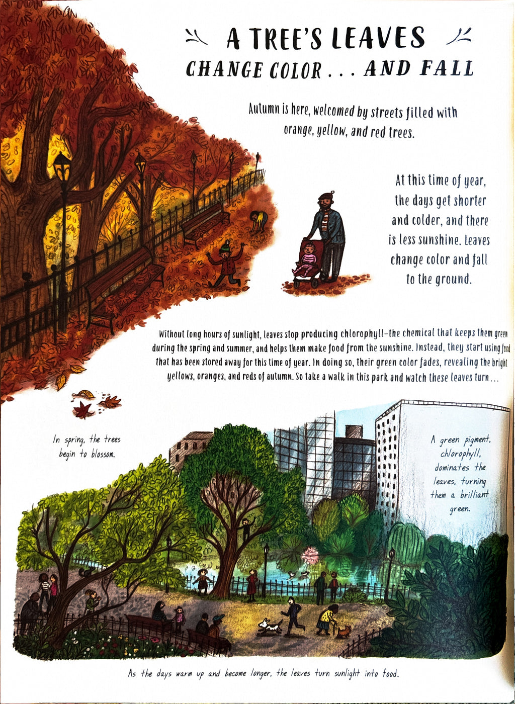 Slow Down 50 Mindful Moments in Nature:  Rachel Williams  ** First Publication **