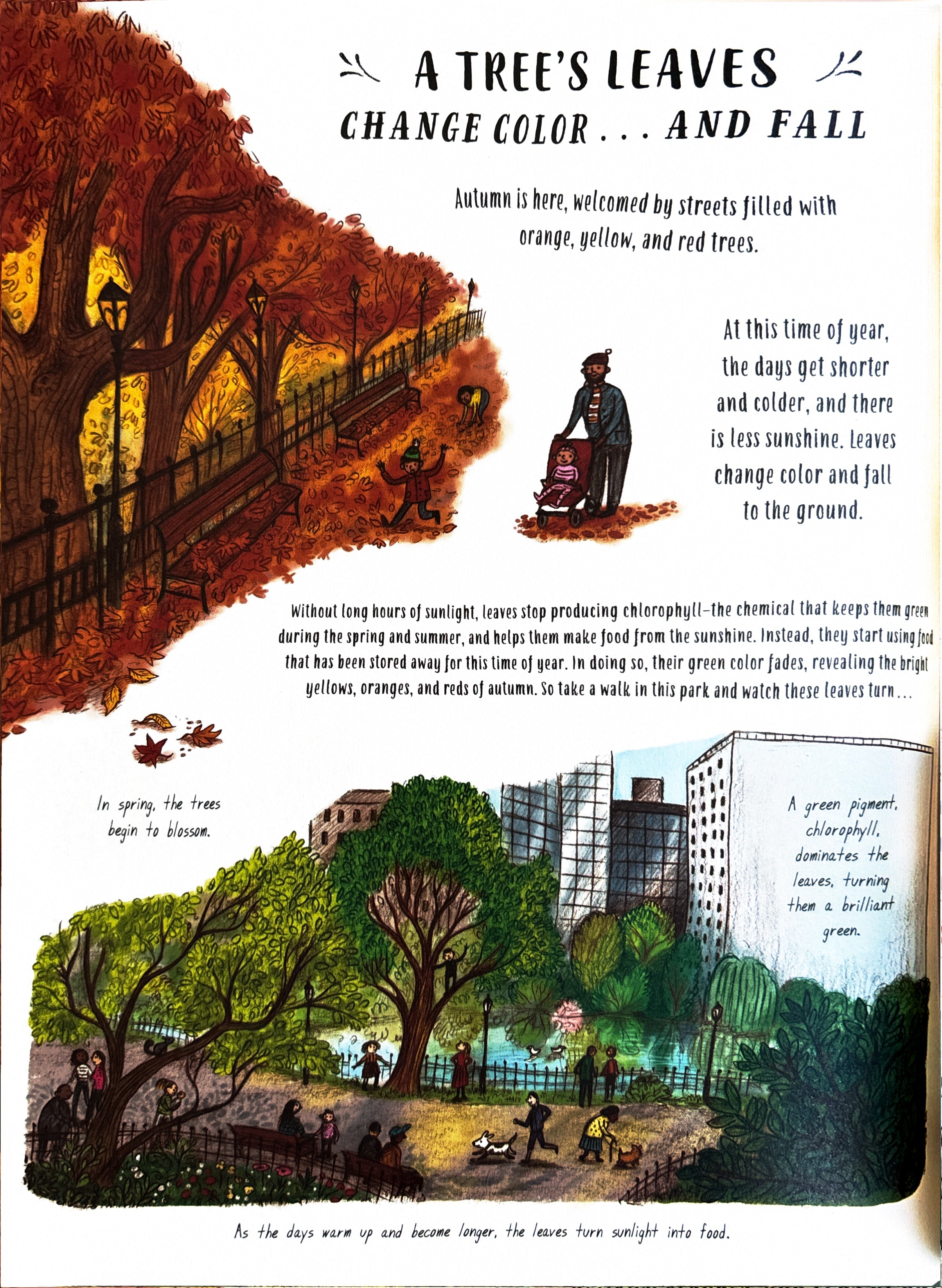 Slow Down 50 Mindful Moments in Nature:  Rachel Williams  ** First Publication **