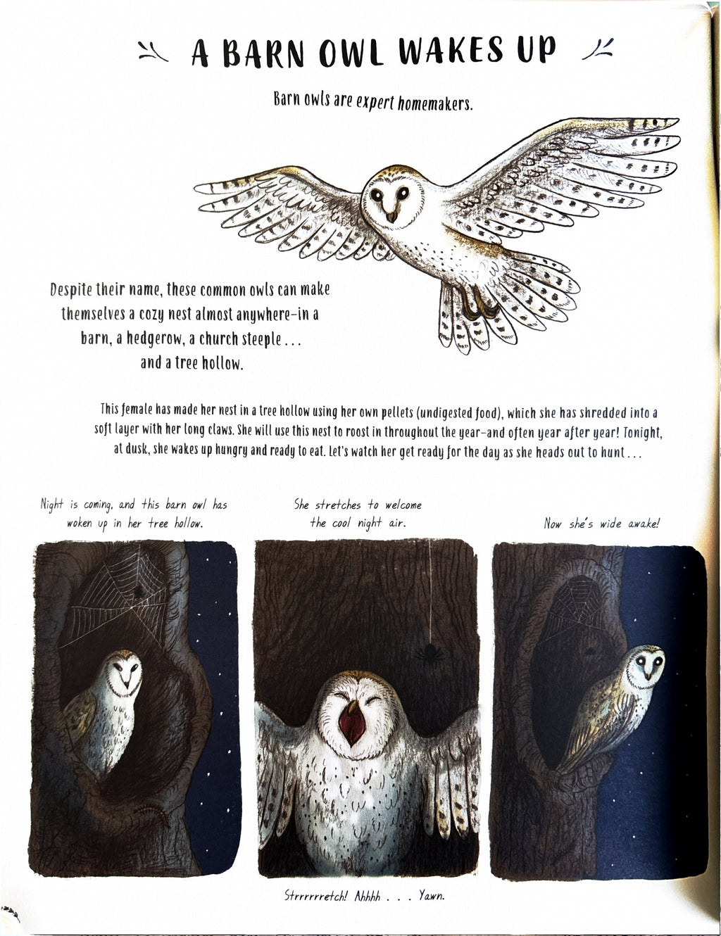 Slow Down 50 Mindful Moments in Nature:  Rachel Williams  ** First Publication **