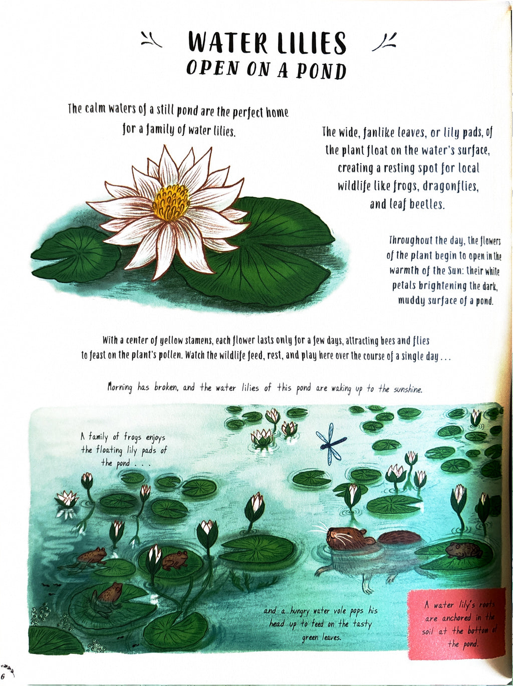 Slow Down 50 Mindful Moments in Nature:  Rachel Williams  ** First Publication **