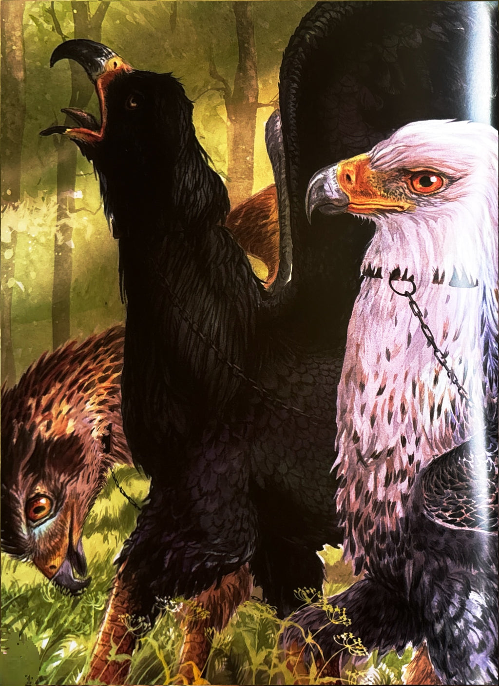 Harry Potter and the Prisoner of Azkaban:  J. K. Rowling  ** 1st Illustrated Edition  **