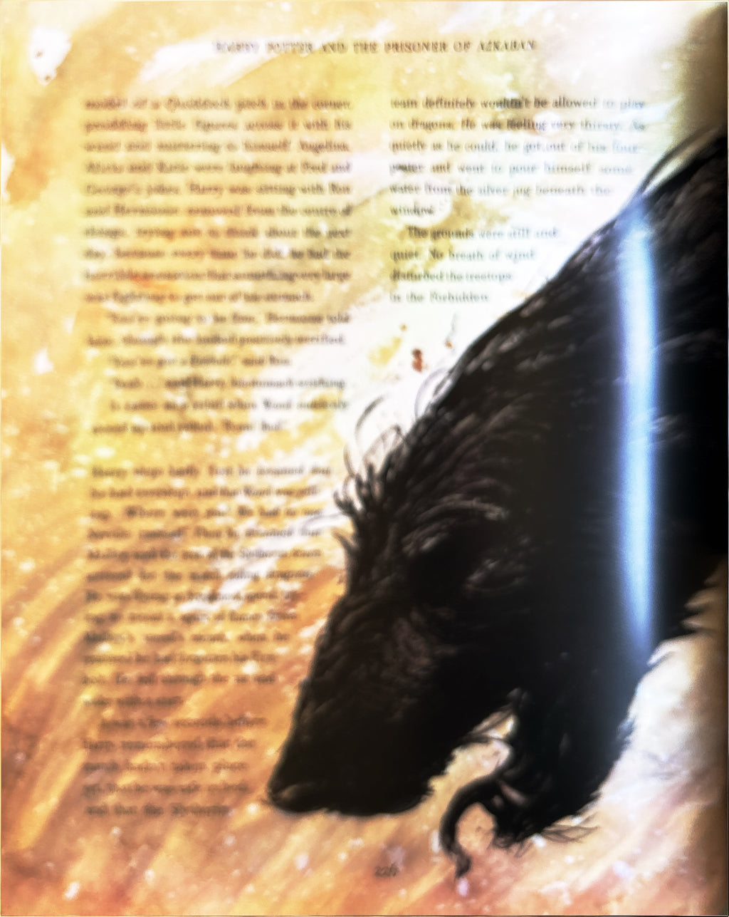 Harry Potter and the Prisoner of Azkaban:  J. K. Rowling  ** 1st Illustrated Edition  **