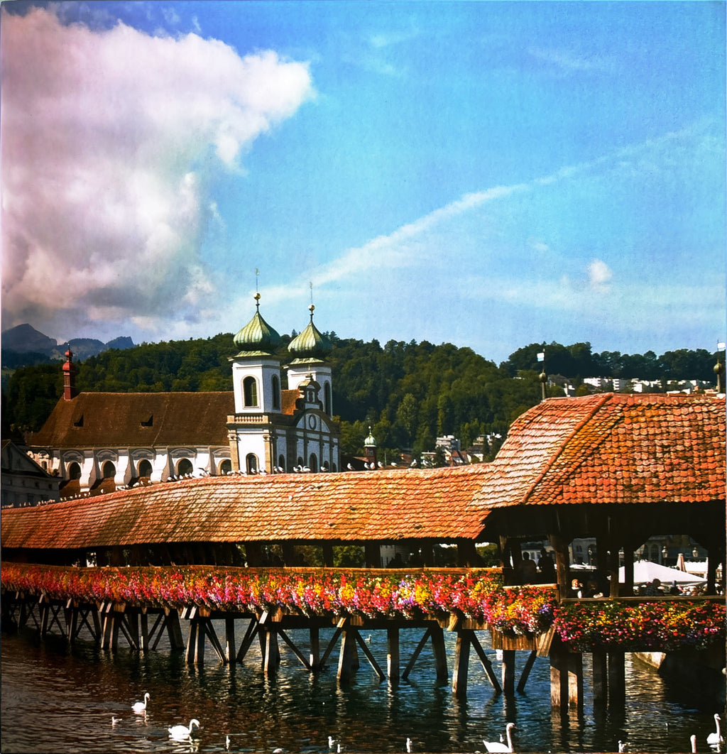 BRIDGES:  Our Earth