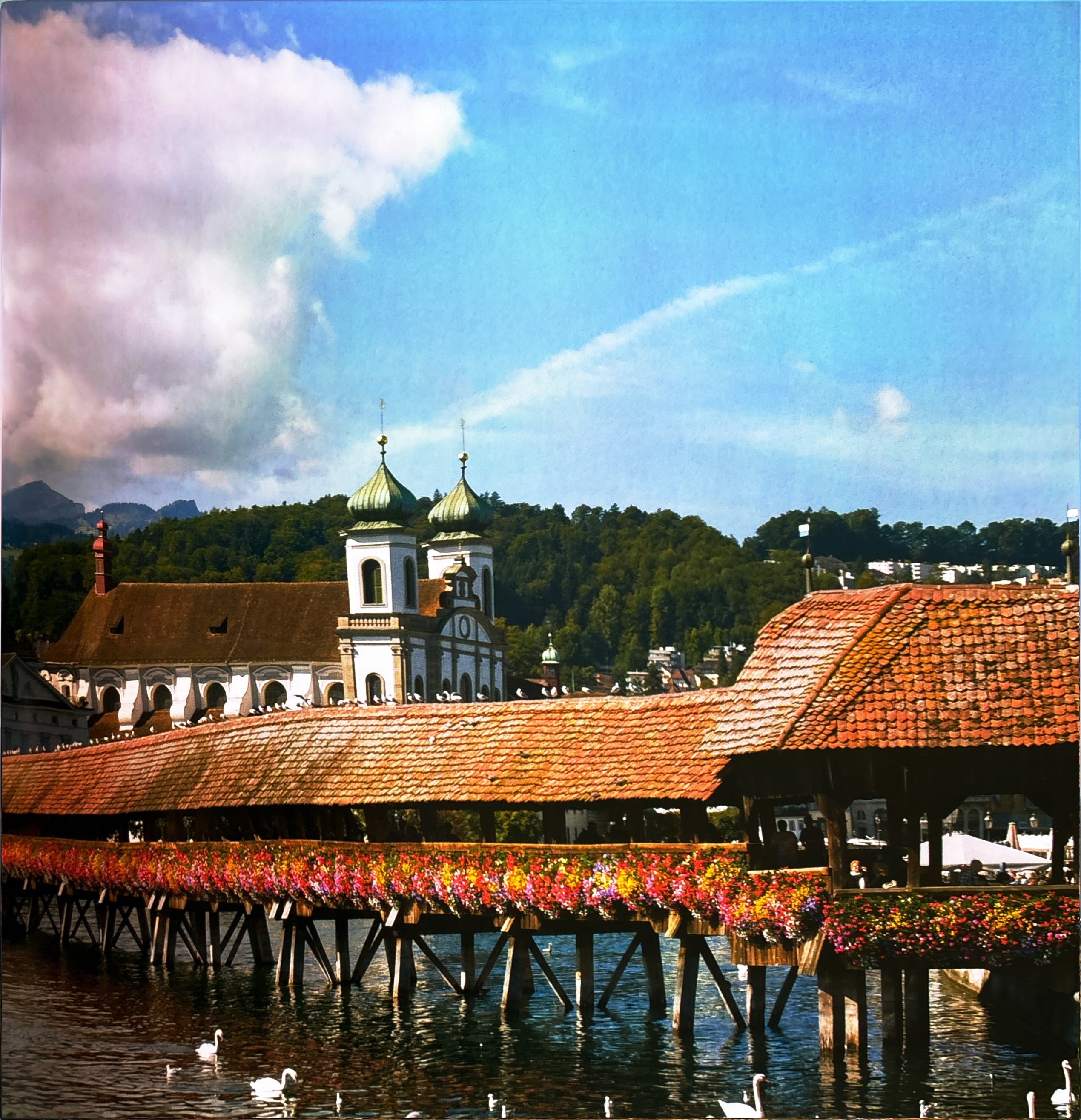 BRIDGES:  Our Earth
