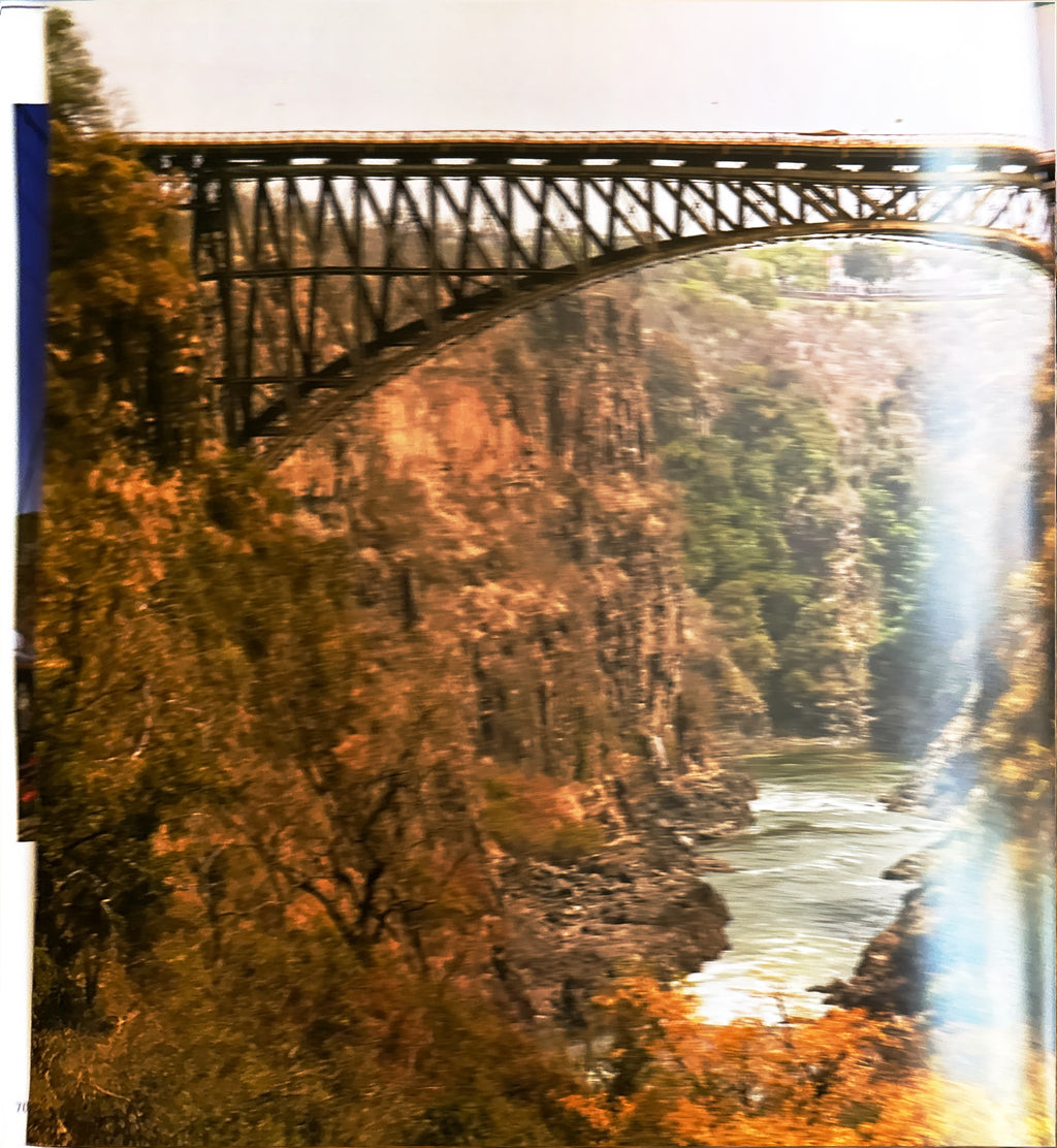 BRIDGES:  Our Earth