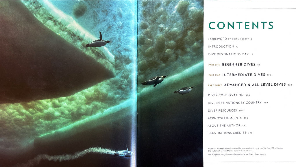 100 Dives of a Lifetime:  Carrie MIller