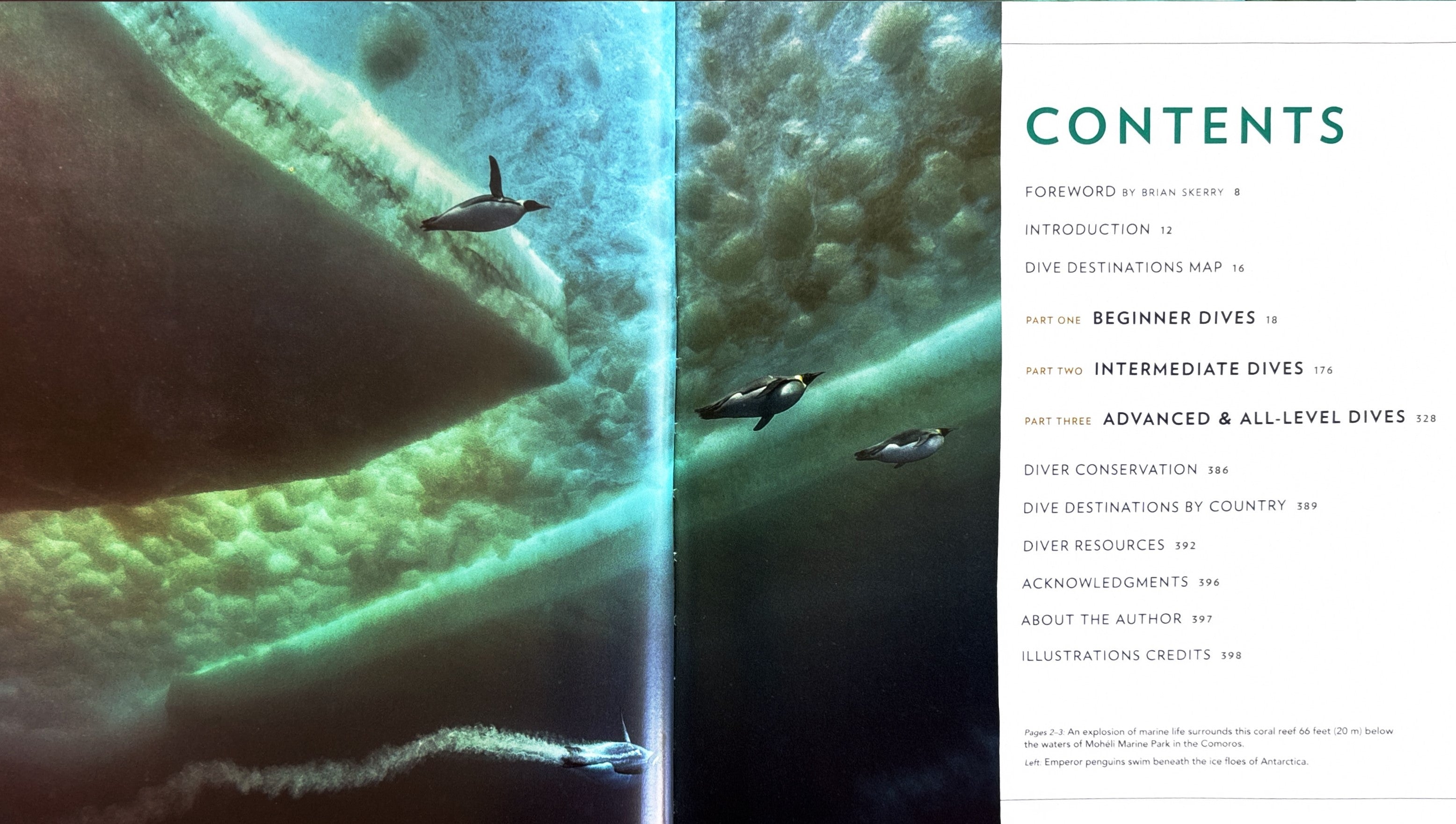 100 Dives of a Lifetime:  Carrie MIller
