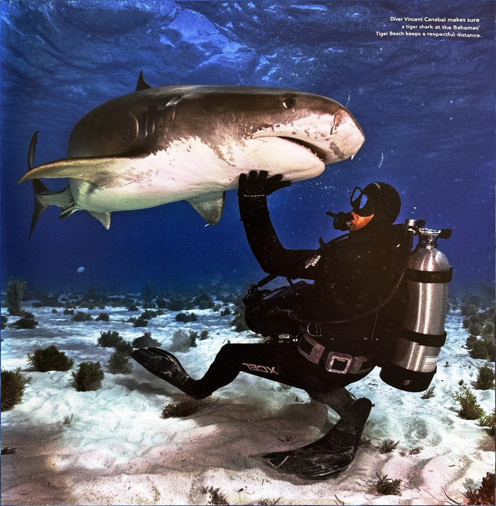 100 Dives of a Lifetime:  Carrie MIller