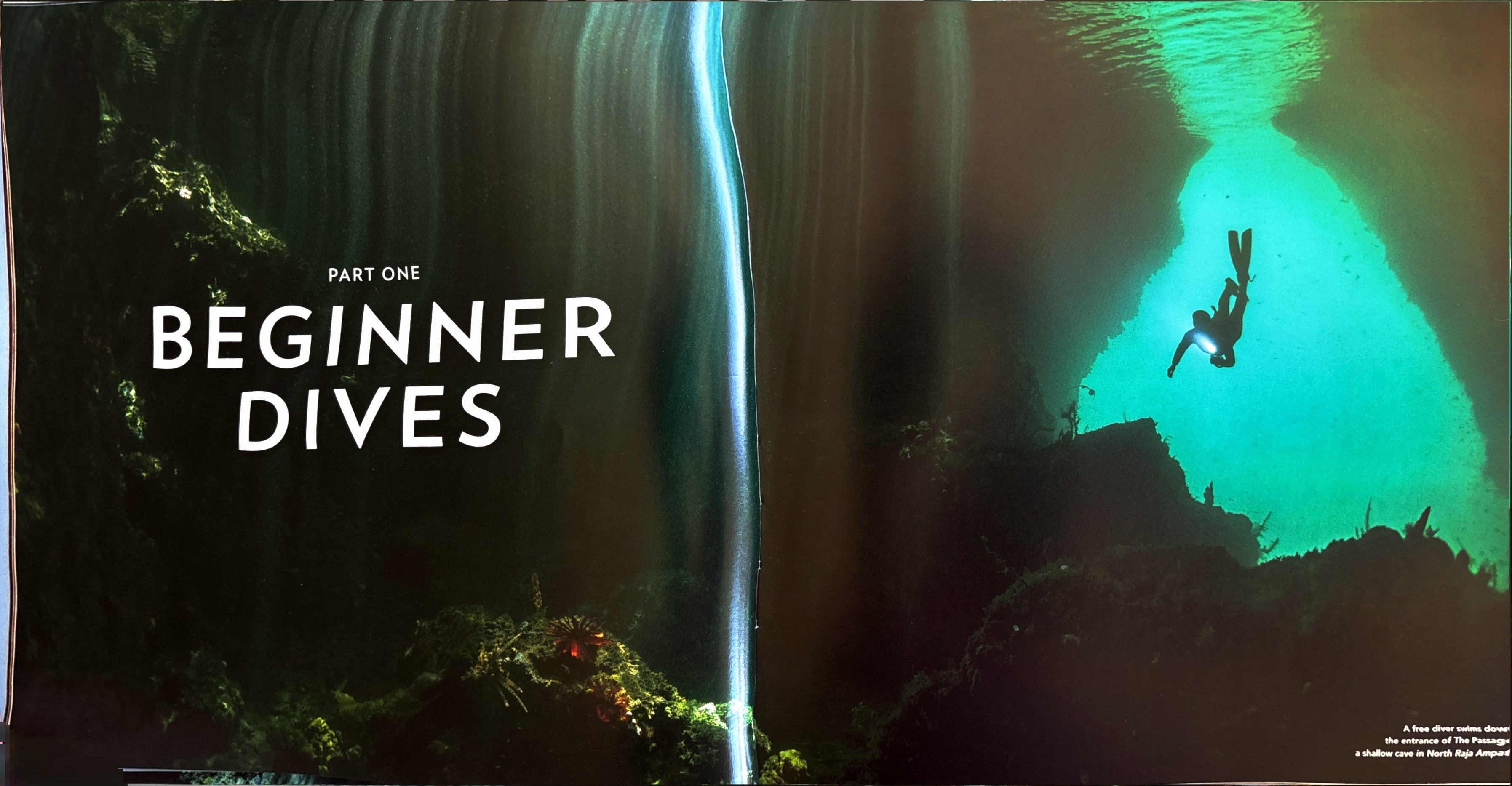 100 Dives of a Lifetime:  Carrie MIller