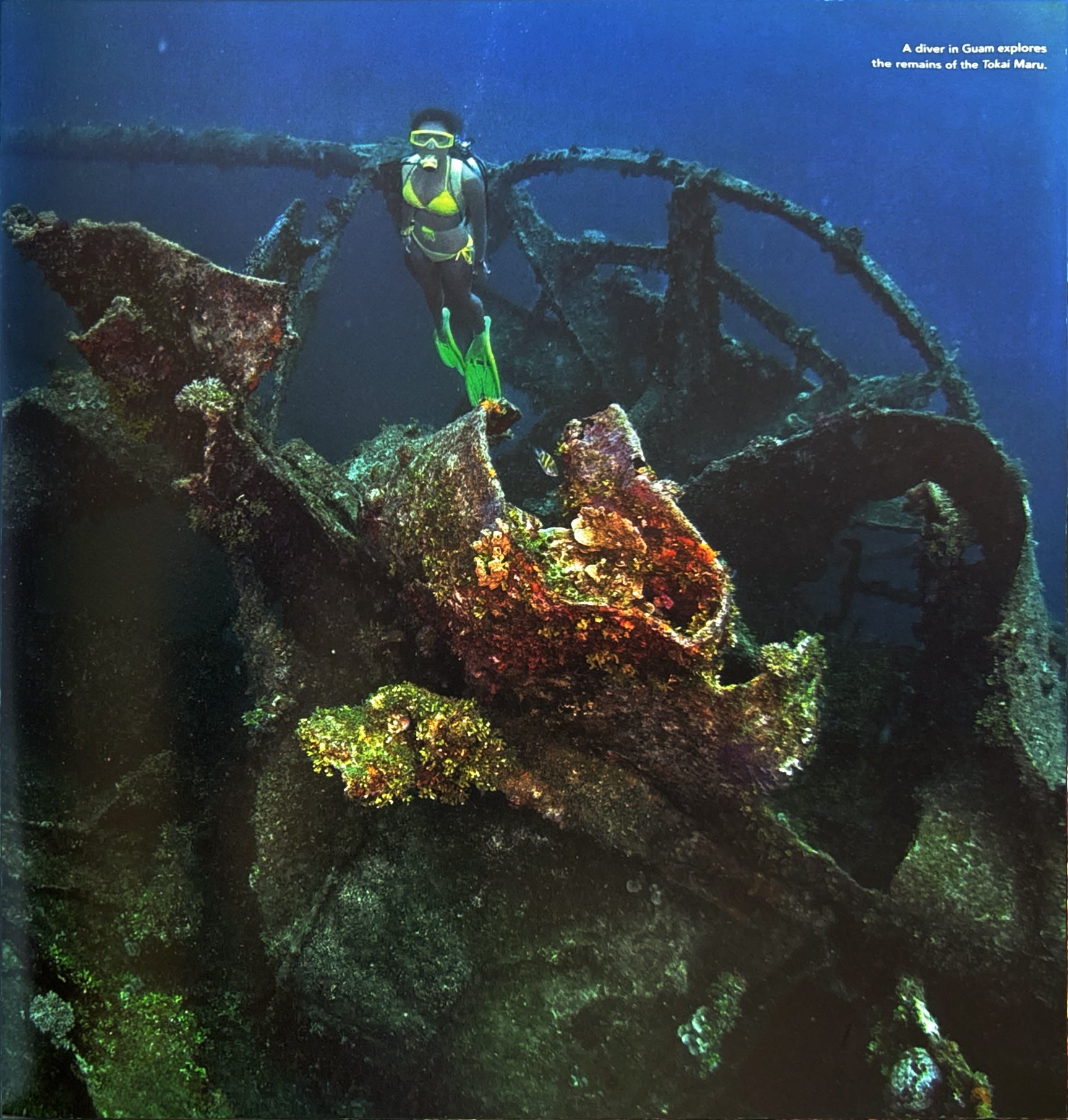 100 Dives of a Lifetime:  Carrie MIller