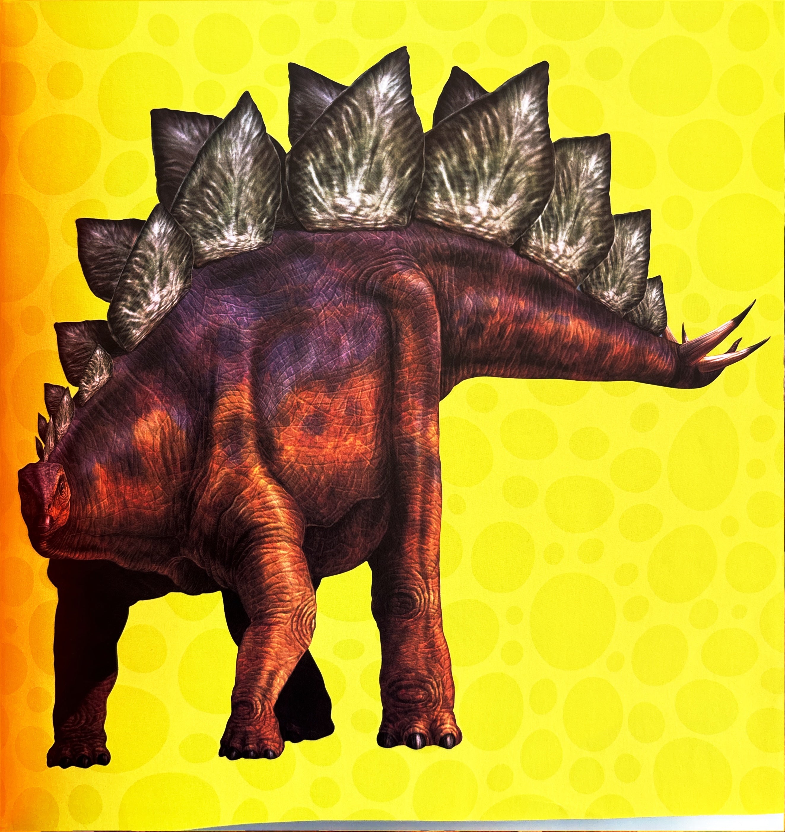Little Kids First BIG book of Dinosaurs:  National Geographic