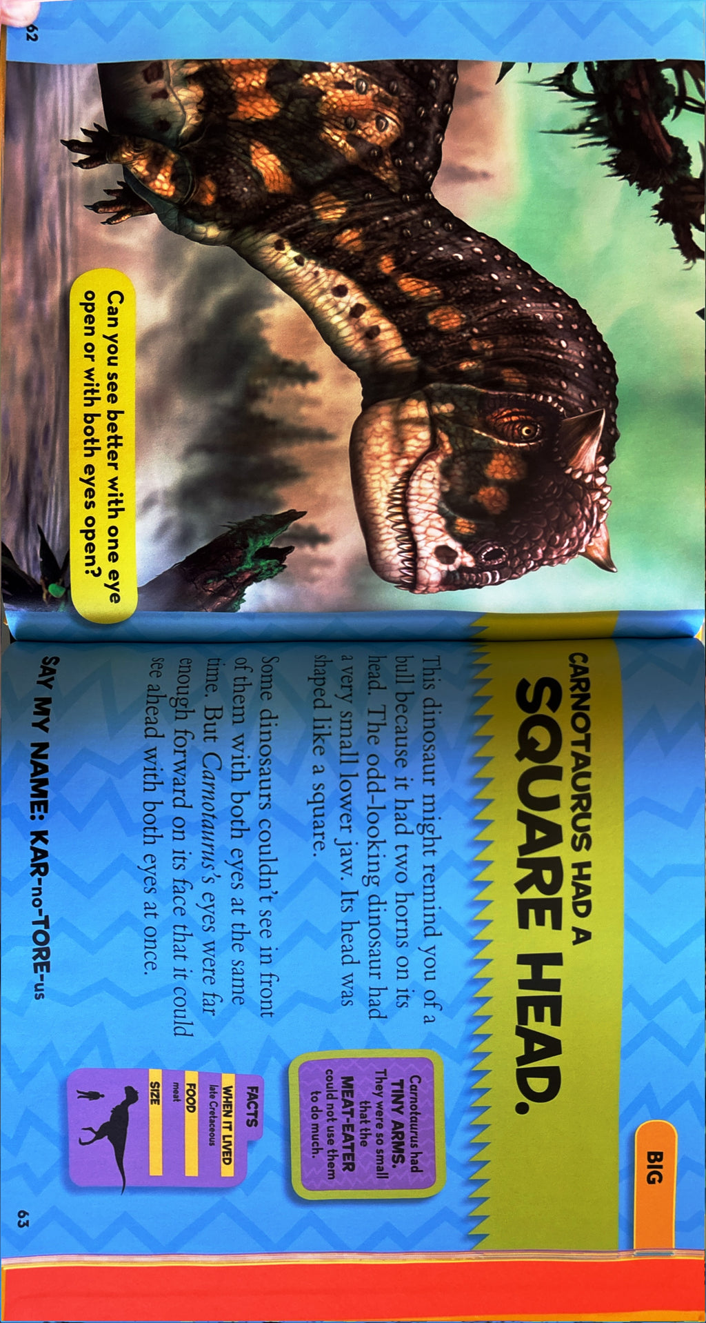 Little Kids First BIG book of Dinosaurs:  National Geographic