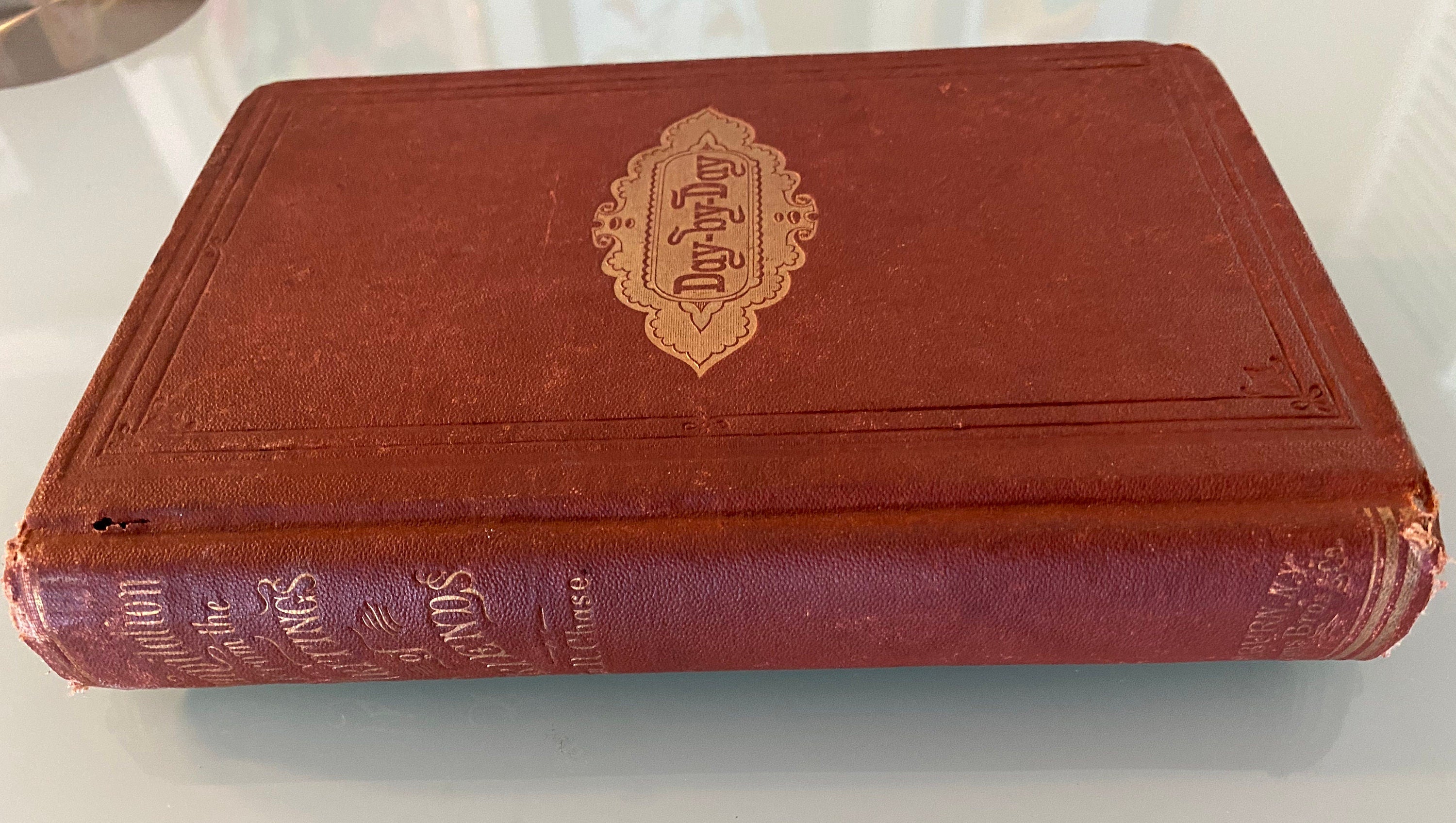 Day By Day:  William Henry Chase   (First Edition)