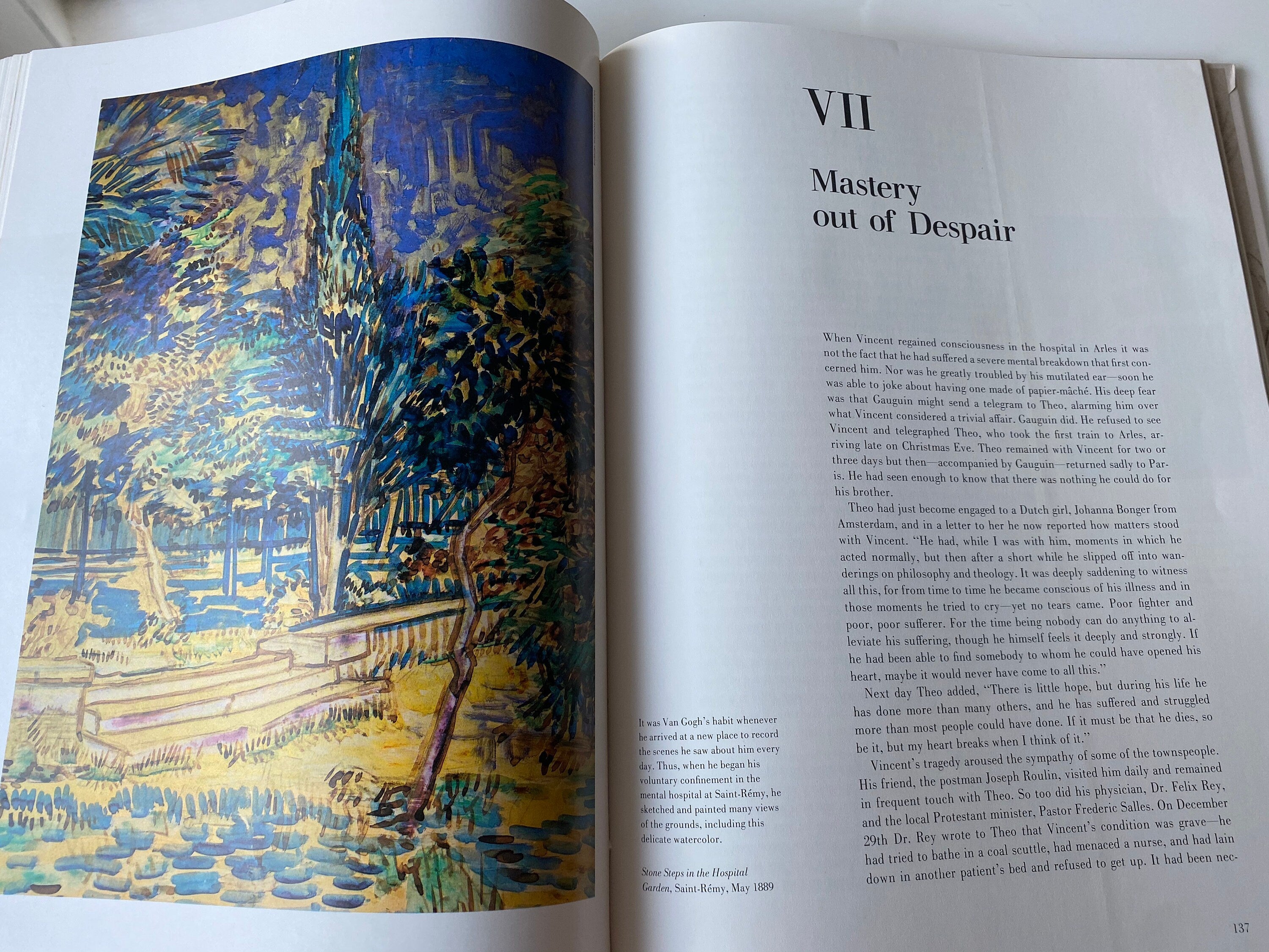 TIME Life LIBRARY Of Art The World Of Van Gogh 1853-1890 IN Slip  Cover