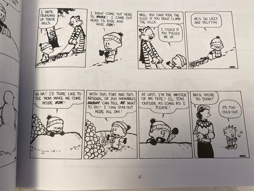 Homicidal Psycho Jungle Cat: A Calvin and Hobbes Collection Watterson, Bill