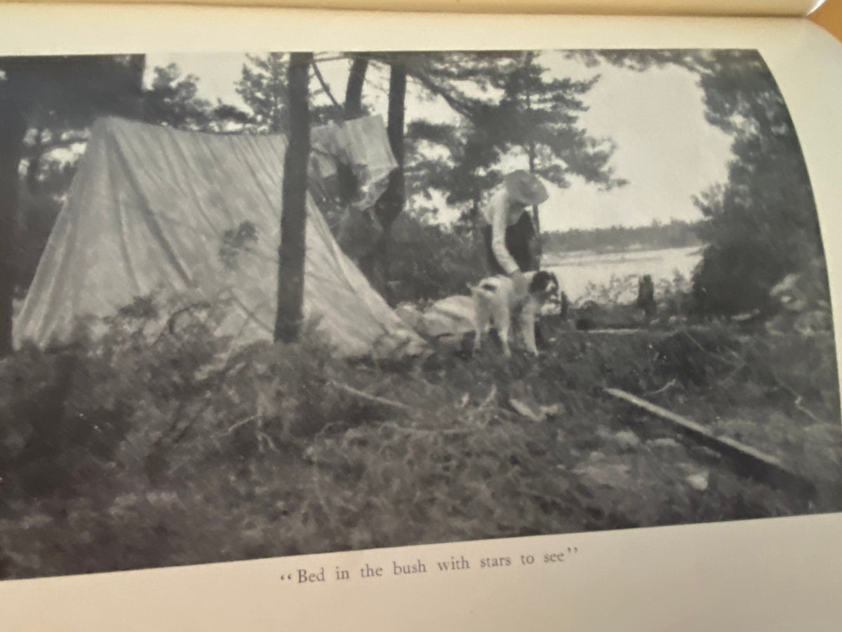 Camp and Trail Stewart White