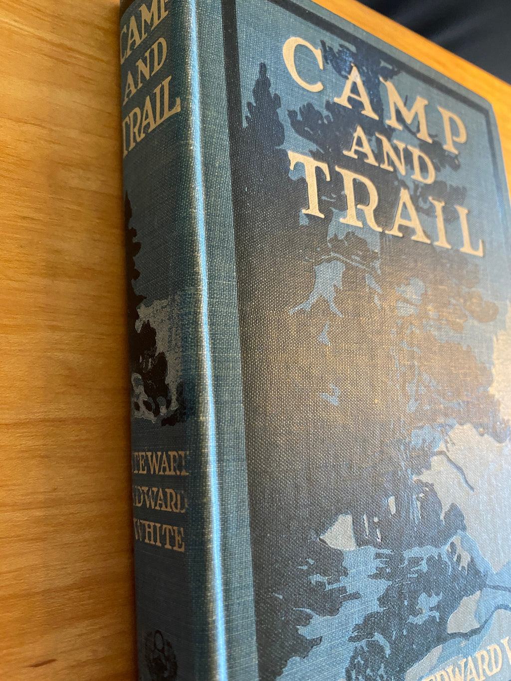 Camp and Trail Stewart White