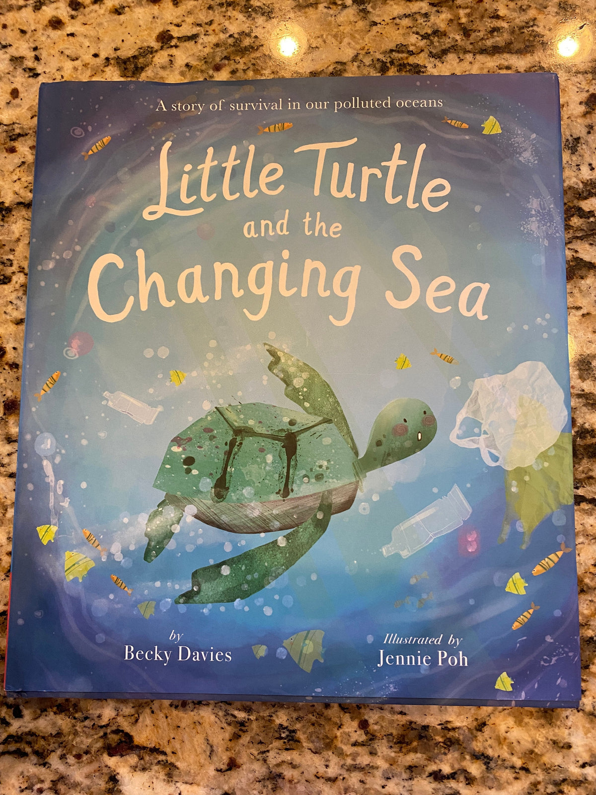 Little Turtle & The Sea By Becky Davies