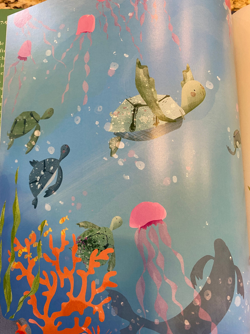Little Turtle & The Sea By Becky Davies