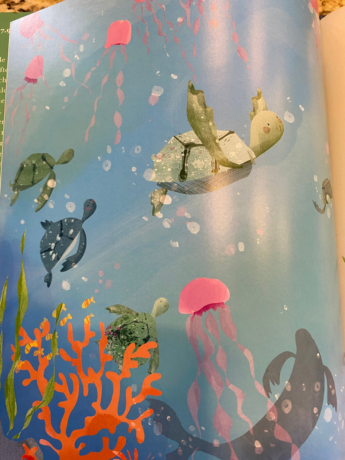 Little Turtle & The Sea By Becky Davies