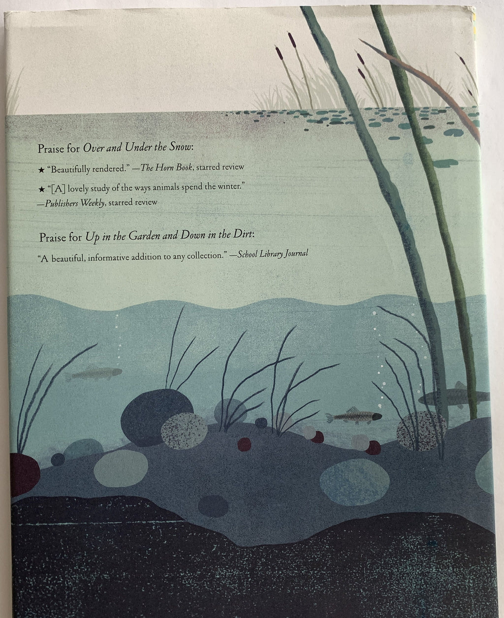 Over and Under the Pond - Kate Messner  underwater world brought to life