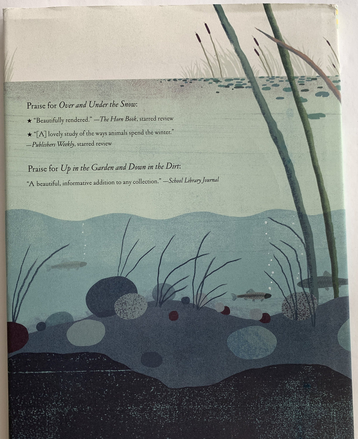 Over and Under the Pond - Kate Messner  underwater world brought to life