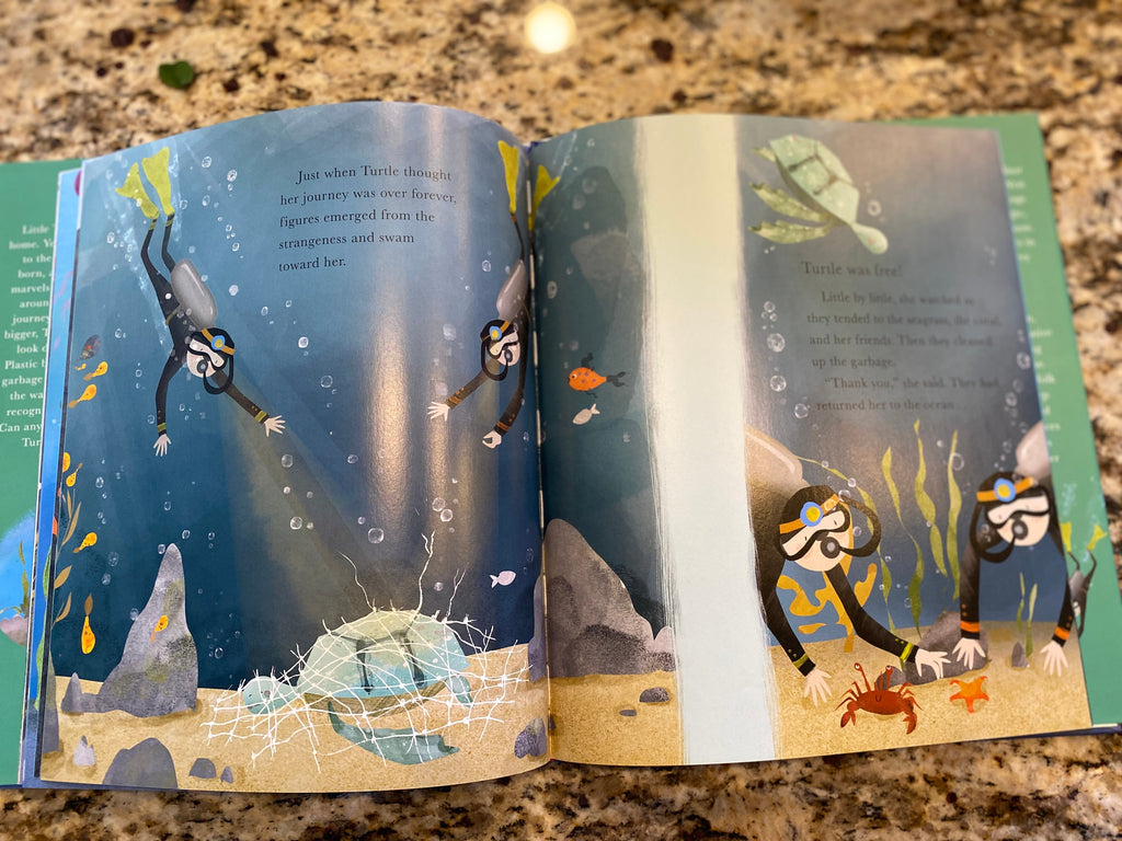Little Turtle & The Sea By Becky Davies