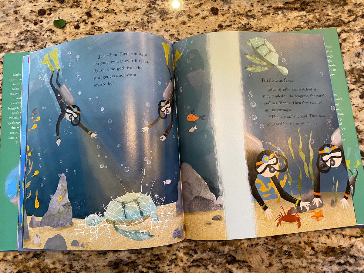 Little Turtle & The Sea By Becky Davies