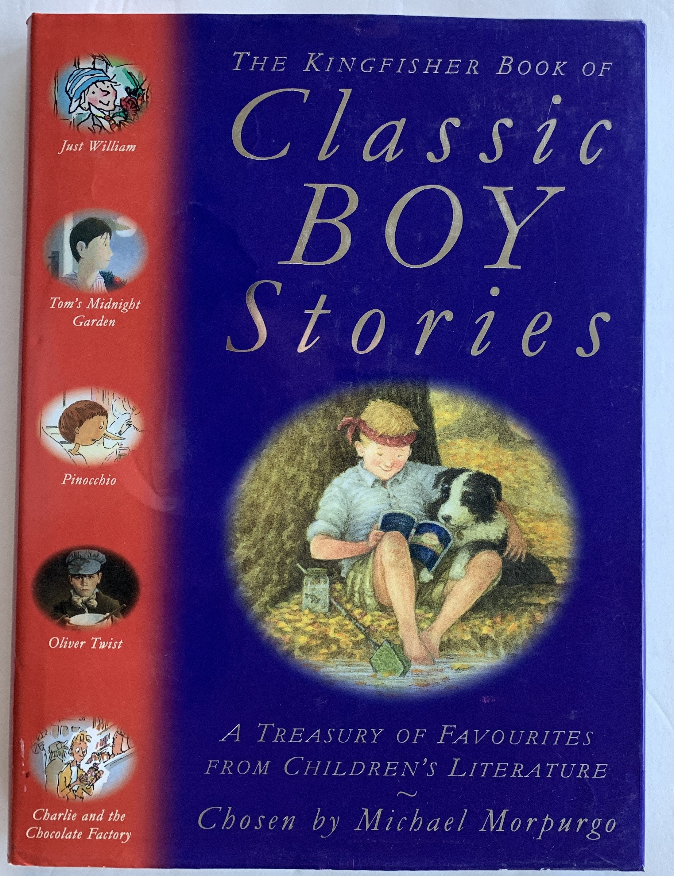 Classic Boy Stories - A treasure of favorites