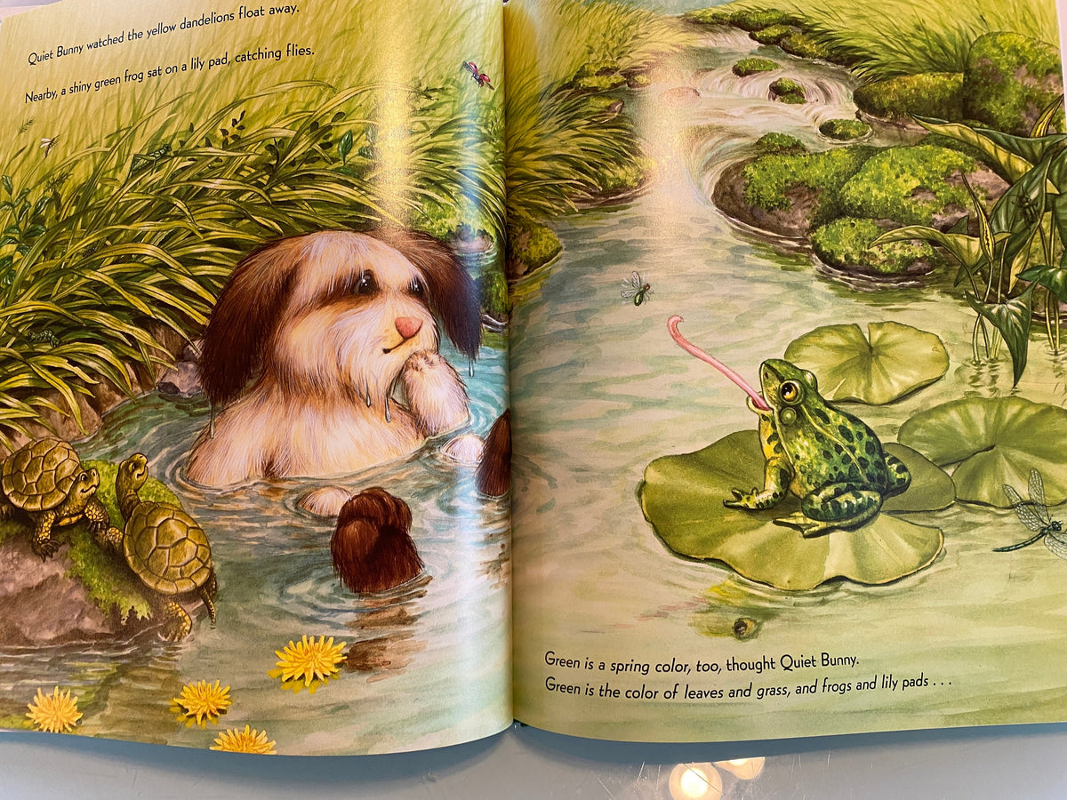 Quiet Bunny's Many Colors, Lisa McCue, Children's Board Book
