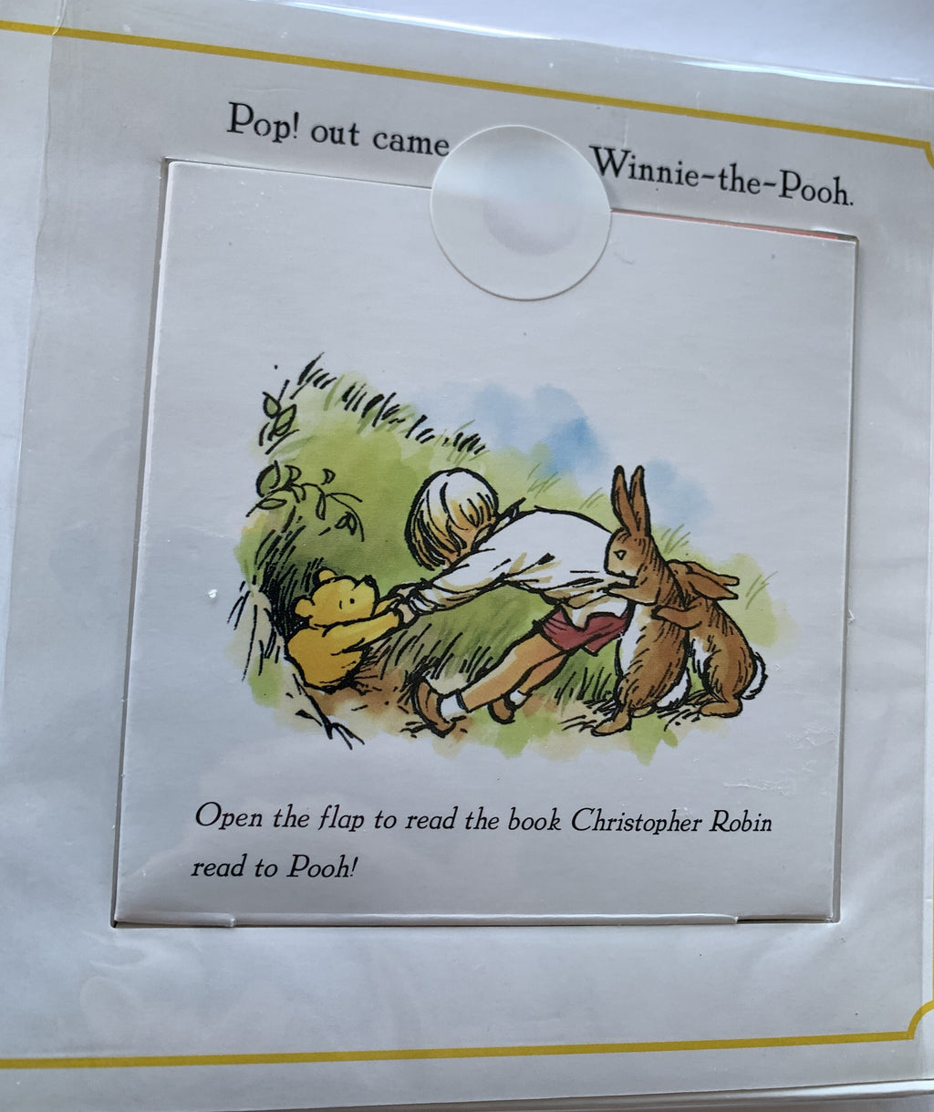 Pooh Goes Visiting - Book-in-a-book - 2001