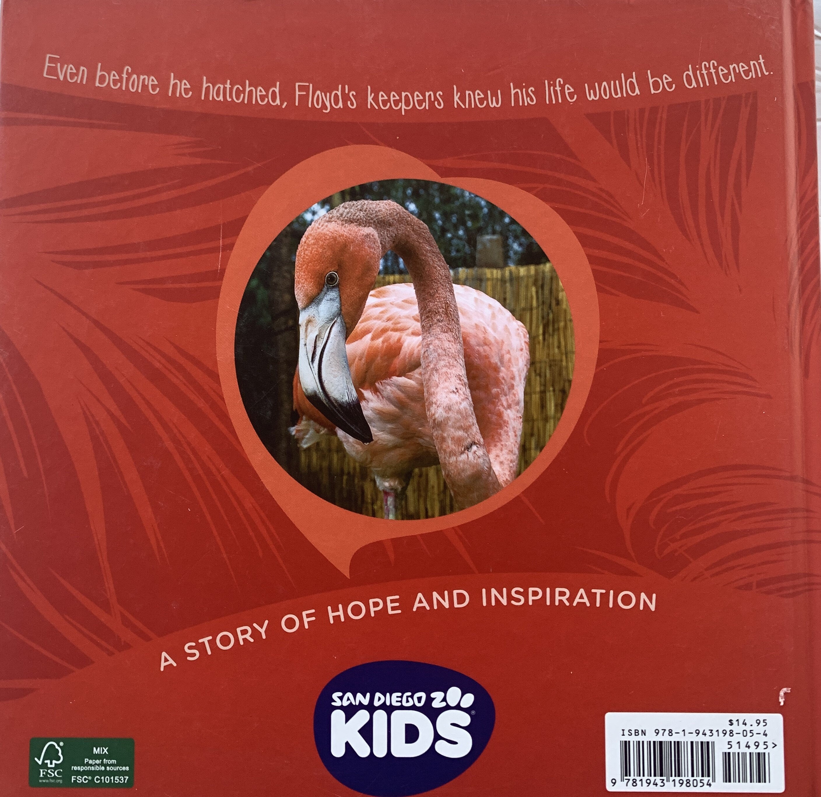 Floyd Children's Book  San Diego Zoo Flamingo Story (Hardcover)