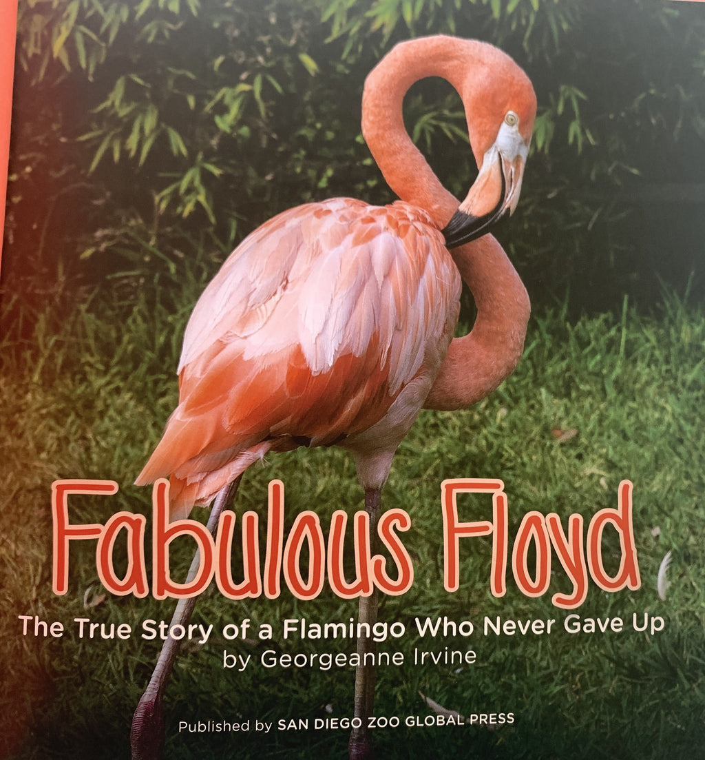 Floyd Children's Book  San Diego Zoo Flamingo Story (Hardcover)